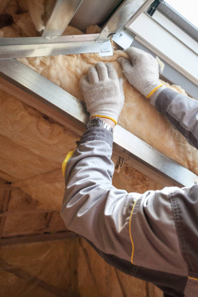 Best Wall Insulation Contractor  in Goldenrod, FL
