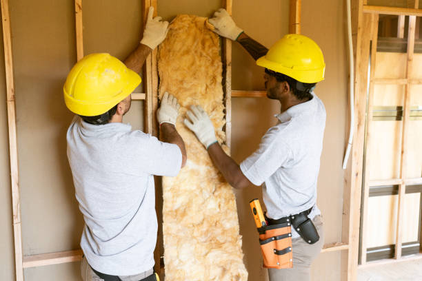 Best Residential Insulation Services  in Goldenrod, FL
