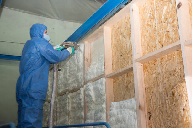 Best Cellulose Insulation  in Goldenrod, FL
