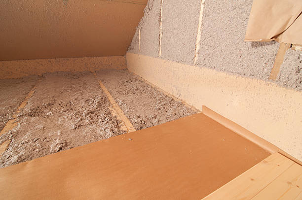 Best Insulation Replacement Services  in Goldenrod, FL